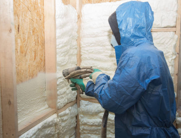 Best Wall Insulation Installation  in Enon, OH